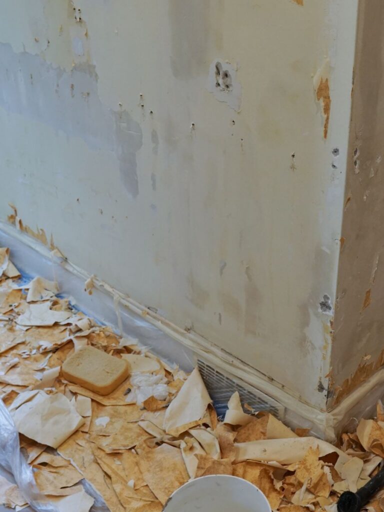 Wallpaper Removal 3 Wallpaper Removal Wallpaper Removal Wallpaper Removal in Cleveland